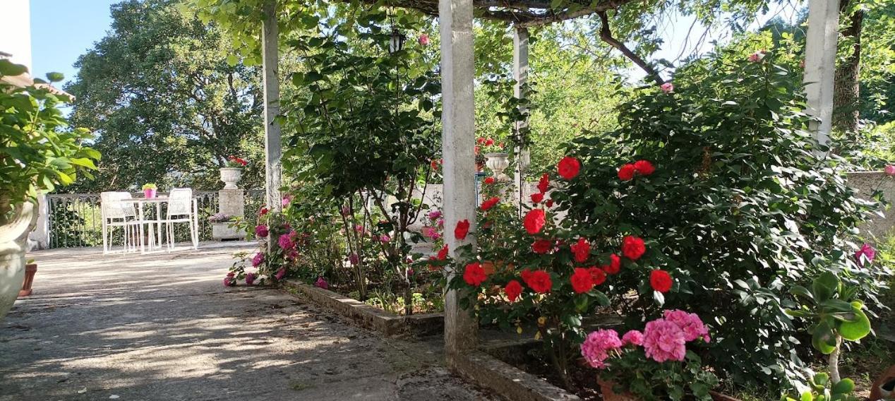 Casavacanze La Vigna Arenabianca Zewnętrze zdjęcie